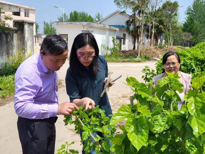 质量检验服务等工作做细做实,用实际行动助力蚕种企业安全生产,切实将